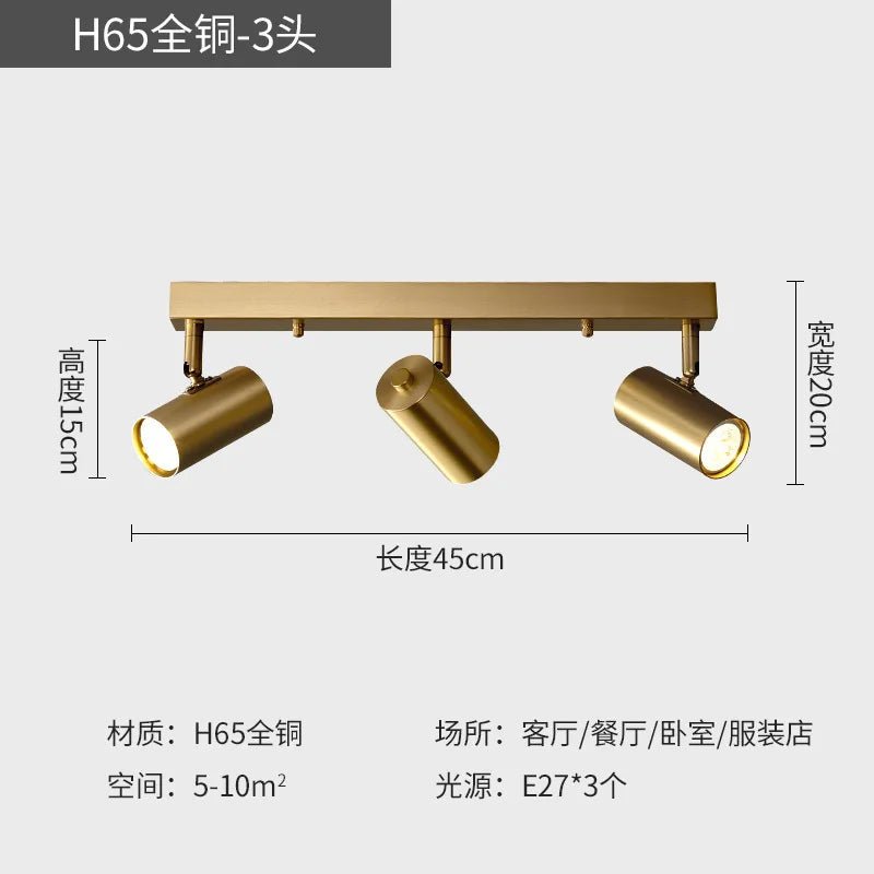 Modern LED Ceiling Spotlights - Hans Lumiere