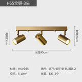 Modern LED Ceiling Spotlights - Hans Lumiere