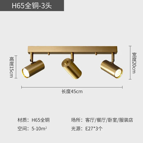 Modern LED Ceiling Spotlights - Hans Lumiere