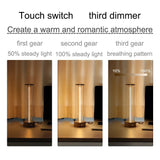 Modern Nightstand Lights Minimalist Cordless Desk Lamp - Hans Lumiere