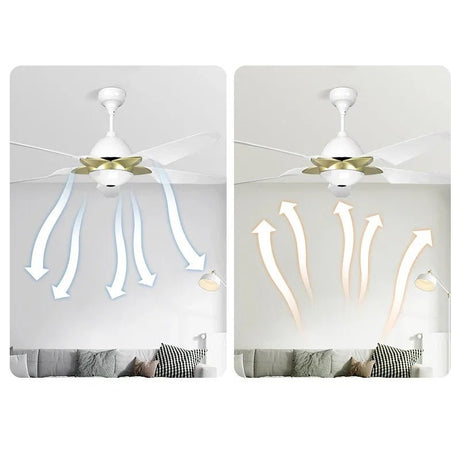 Modern Nordic Minimalist LED Ceiling Fan With Remote Control - Hans Lumiere