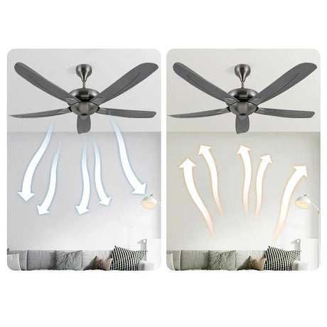 Modern Nordic Without lights Ceiling Fan - Hans Lumiere