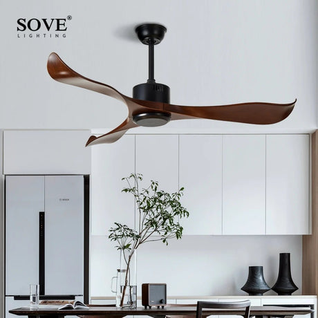 Modern Plastic Blade Ceiling Fan With Remote Control - Hans Lumiere