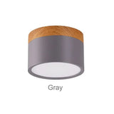 Modern Wood LED Dimmable Downlight Interior Decoration Light - Hans Lumiere