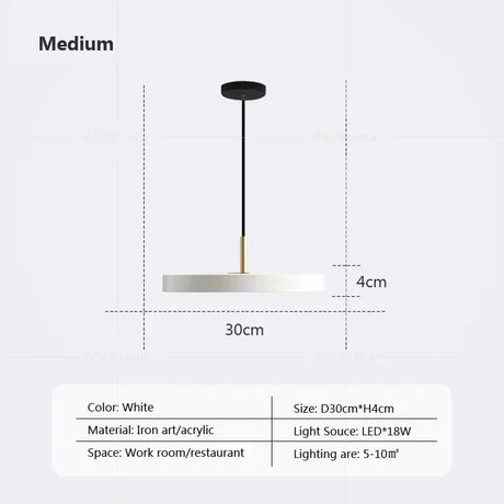 Nordic Disc Pendant Light – LED Hanging Fixture, 23–40cm - Hans Lumiere