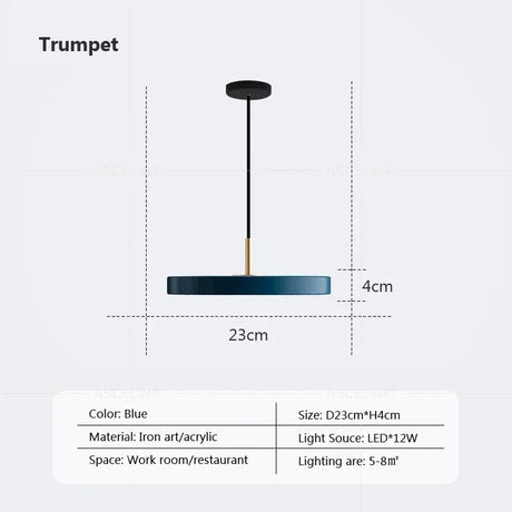Nordic Disc Pendant Light – LED Hanging Fixture, 23–40cm - Hans Lumiere