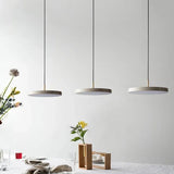 Nordic Disc Pendant Light – LED Hanging Fixture, 23–40cm - Hans Lumiere