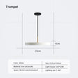 Nordic Disc Pendant Light – LED Hanging Fixture, 23–40cm - Hans Lumiere