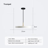 Nordic Disc Pendant Light – LED Hanging Fixture, 23–40cm - Hans Lumiere