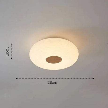 Nordic LED Interior Ceiling Lighting - Hans Lumiere