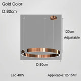 Nordic Minimalist Ceiling LED Ring Pendant Light - Hans Lumiere