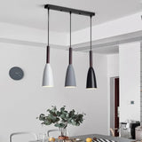 Nordic Minimalist Iron Decoration 3 Heads Chandeliers - Hans Lumiere