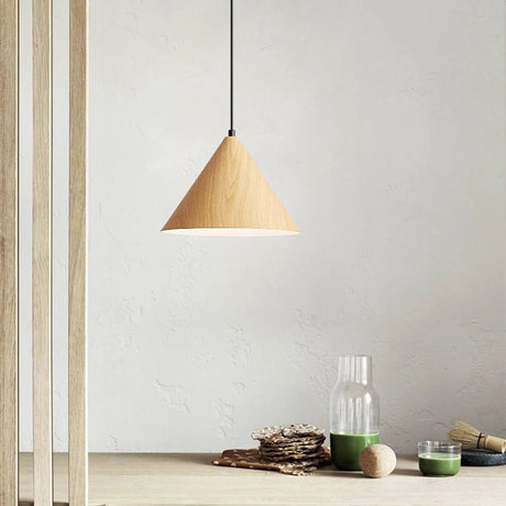 Nordic Modern Pendant LED Lights - Hans Lumiere