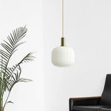 Nordic Retro Colorful Glass Pendant Lights - Hans Lumiere