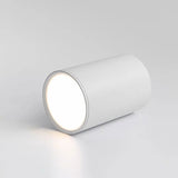 QIUBOSS LED Pendant & Spotlight – Dimmable Kitchen Light - Hans Lumiere