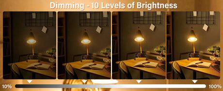 Rechargeable LED Light Bulb E27 with Remote, 2200mAh, 3 Color Temperatures, Dimmable & Timer - Hans Lumiere