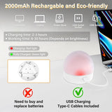 Rechargeable LED Light Bulbs with Remote, Dimmable, 3 Color Temperatures, E12 E26 - Hans Lumiere