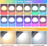 Rechargeable LED Light Bulbs with Remote, Dimmable, 3 Color Temperatures, E12 E26 - Hans Lumiere