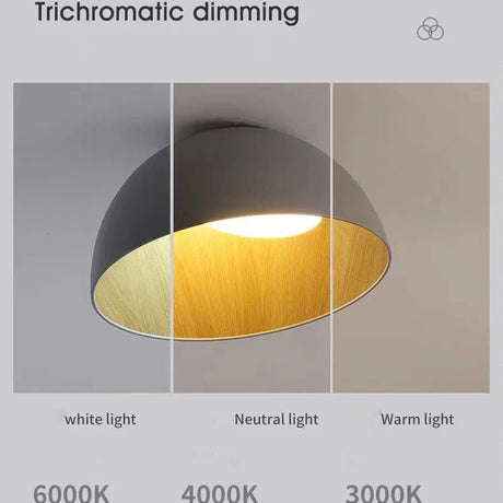 Remote Control Modern LED Ceiling Light - Hans Lumiere