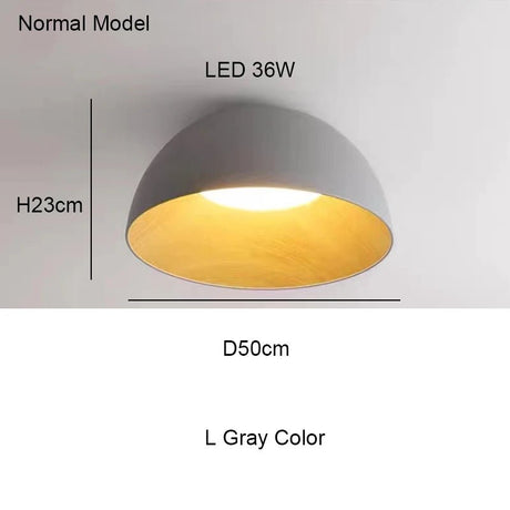 Remote Control Modern LED Ceiling Light - Hans Lumiere