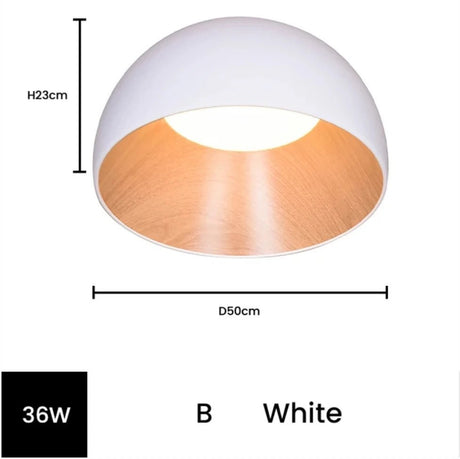 Remote Control Modern LED Ceiling Light - Hans Lumiere