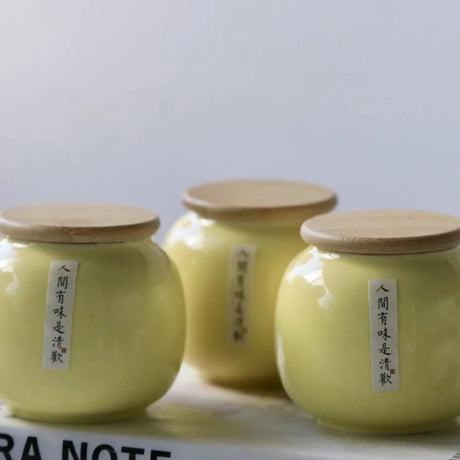 Soybean Wax High Quality Ceramic Scented Candle - Hans Lumiere