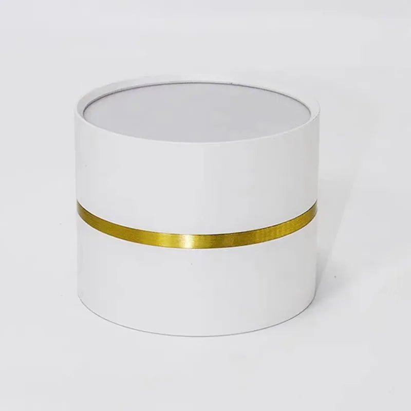 Surface Mounted Anti - Glare Dimmable LED Downlight - Hans Lumiere
