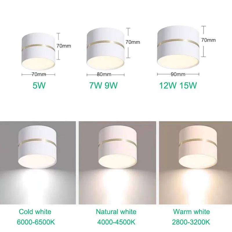 Surface Mounted Anti - Glare Dimmable LED Downlight - Hans Lumiere