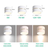 Surface Mounted Anti - Glare Dimmable LED Downlight - Hans Lumiere