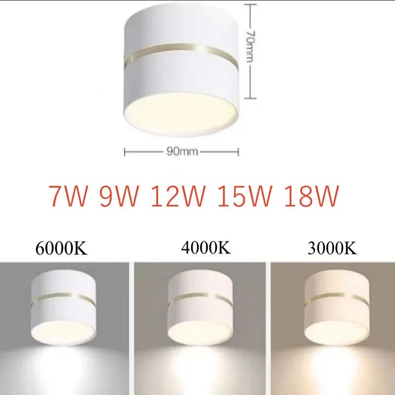 Surface Mounted Anti - Glare Dimmable LED Downlight - Hans Lumiere