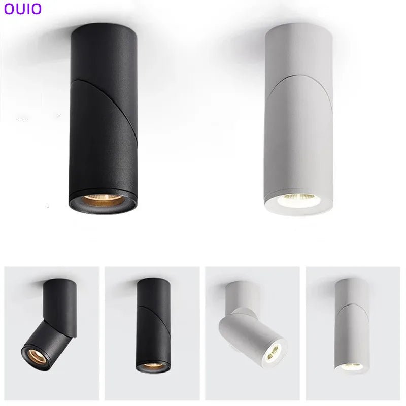 Surface Mounted Dimmable LED Downlights - Hans Lumiere
