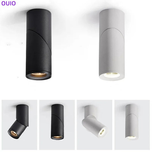 Surface Mounted Dimmable LED Downlights - Hans Lumiere