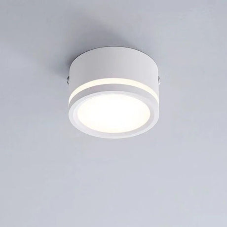 Surface Mounted LED Ceiling Downlight - Hans Lumiere