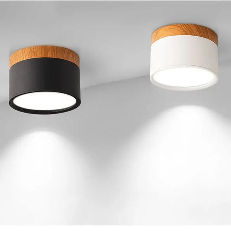 Surface Mounted LED Ceiling Downlight - Hans Lumiere