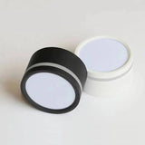 Surface Mounted LED Ceiling Downlight - Hans Lumiere