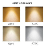 T30 Long Tube Edison LED Filament Bulb 30cm 6W, E26 E27, 2700K 4000K 6000K - Hans Lumiere