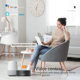 WiFi and Bluetooth Dual - Mode Smart Panel Downlight - Hans Lumiere