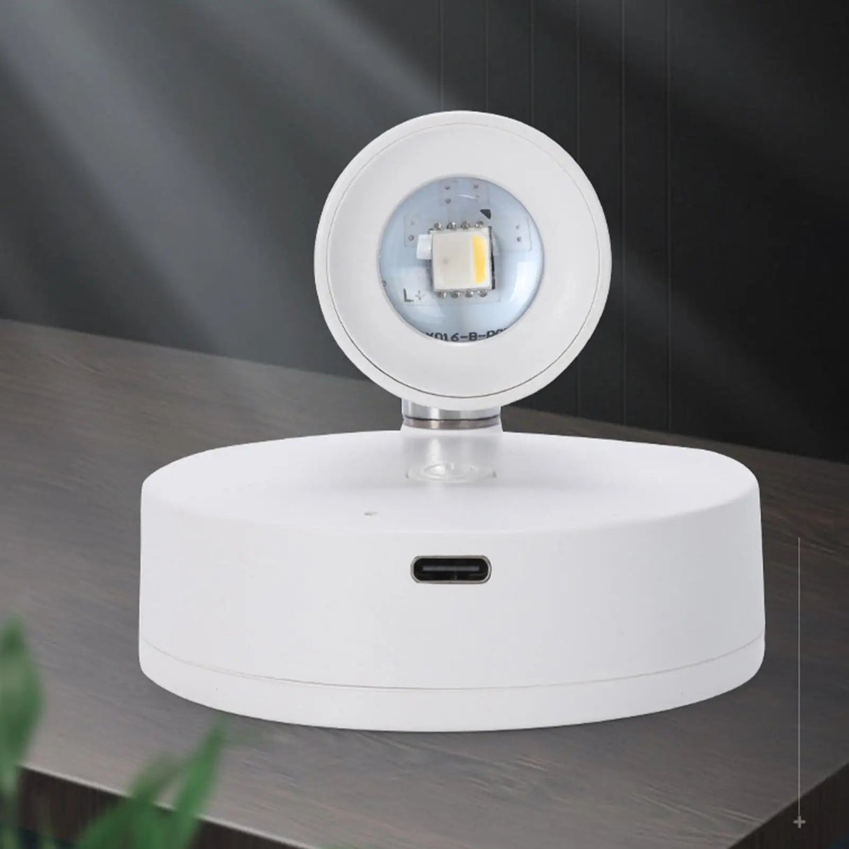 Wireless Rechargeable LED Uplight Spotlight for Plants & Art - Hans Lumiere