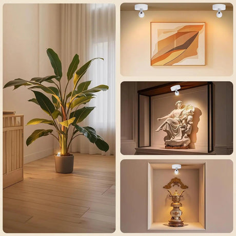 Wireless Rechargeable LED Uplight Spotlight for Plants & Art - Hans Lumiere