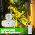 Wireless Rechargeable LED Uplight Spotlight for Plants & Art - Hans Lumiere