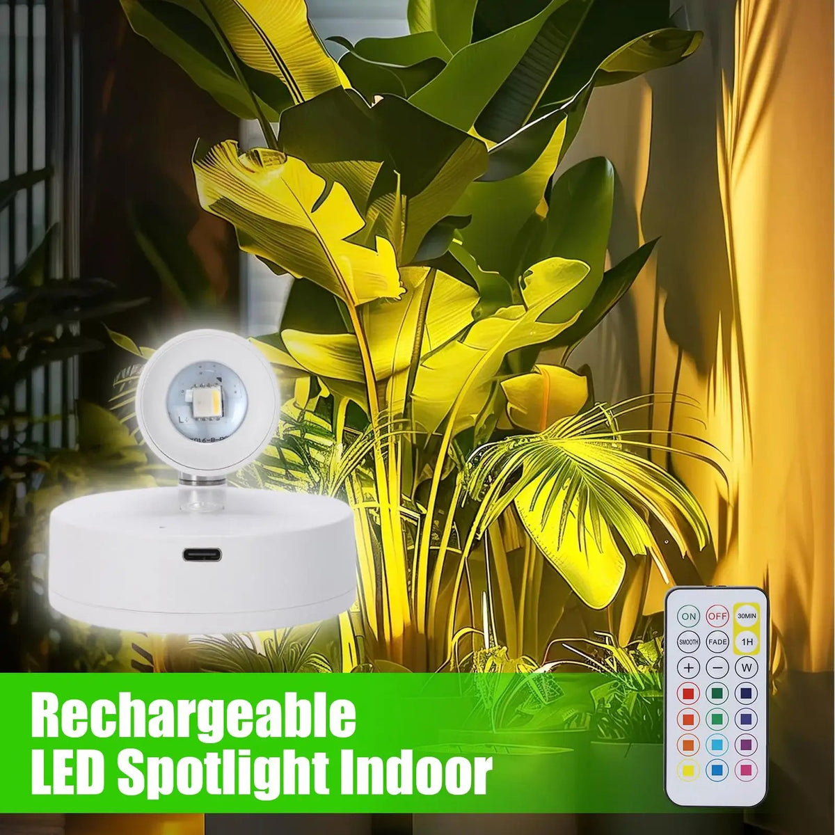 Wireless Rechargeable LED Uplight Spotlight for Plants & Art - Hans Lumiere